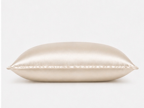 Champagne mulberry silk pillowcase with Oxford border from CAMA Reform